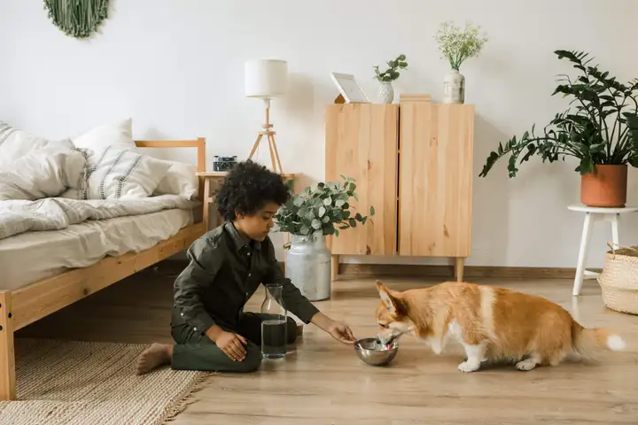 Puppy Drinking Water