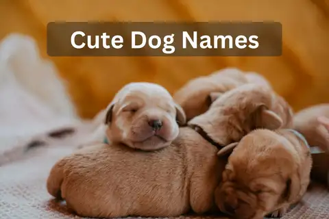 A pile of sleeping newborn puppies, text overlay: "Cute Dog Names"