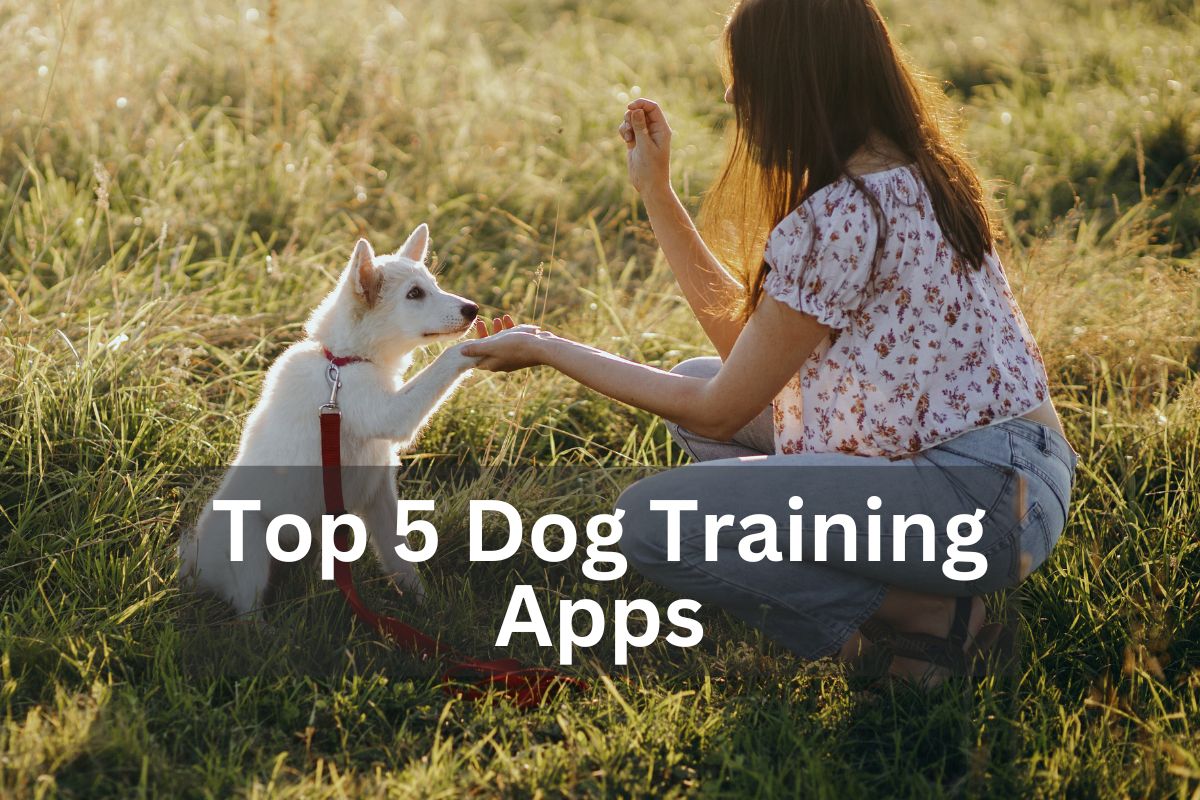 Person training a white puppy outdoors in a grassy field, with the text 'Top 5 Dog Training Apps' overlayed.