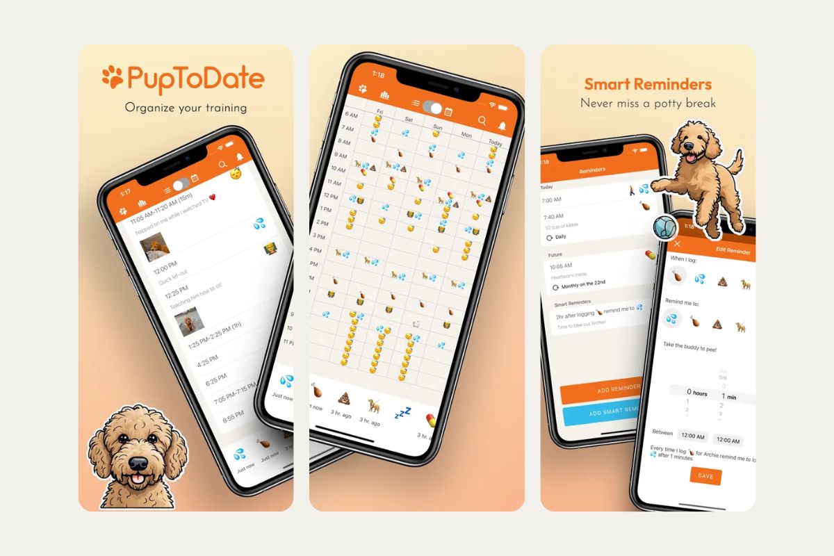 Screenshots of the Pup to Date app showing training schedules, activity logs, and smart reminders for dog training.