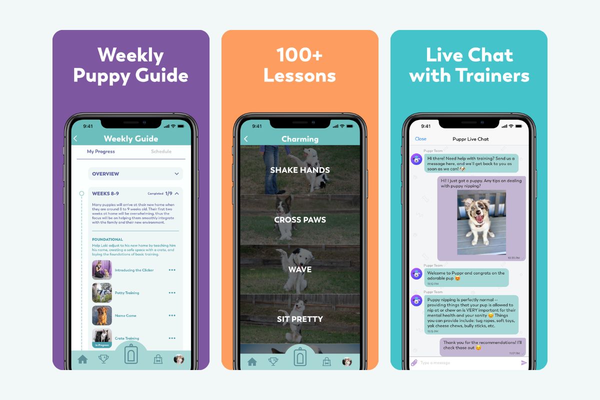 Screenshots of the Puppr app featuring a weekly puppy guide, training lessons, and live chat with trainers.